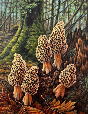Forest Harvest