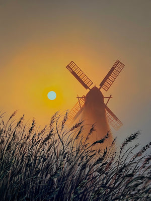 Golden Field